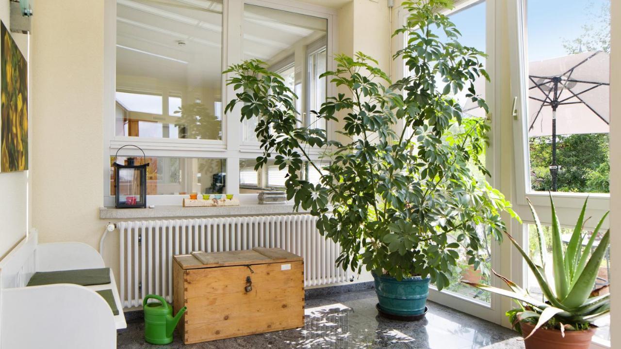Ferienwohnung Zum Goldenen Kopf Elzach Exteriör bild